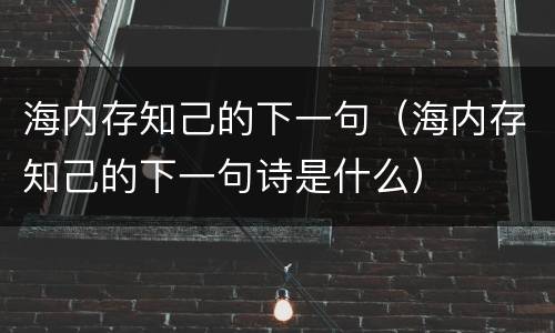 海内存知己的下一句（海内存知己的下一句诗是什么）