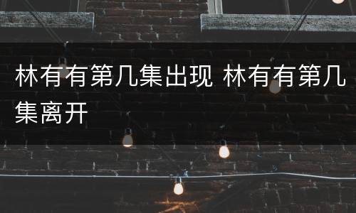 林有有第几集出现 林有有第几集离开
