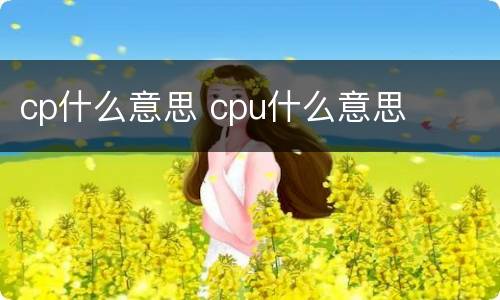 cp什么意思 cpu什么意思