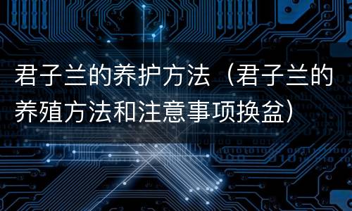 君子兰的养护方法（君子兰的养殖方法和注意事项换盆）