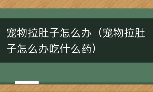 宠物拉肚子怎么办（宠物拉肚子怎么办吃什么药）