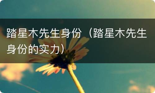 踏星木先生身份（踏星木先生身份的实力）