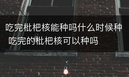 吃完枇杷核能种吗什么时候种 吃完的枇杷核可以种吗