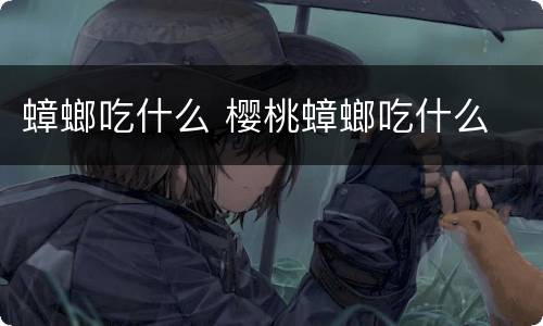 蟑螂吃什么 樱桃蟑螂吃什么