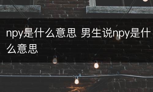 npy是什么意思 男生说npy是什么意思