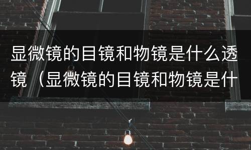 显微镜的目镜和物镜是什么透镜（显微镜的目镜和物镜是什么透镜类型）