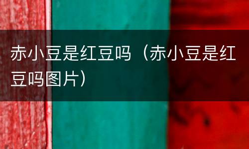 赤小豆是红豆吗（赤小豆是红豆吗图片）