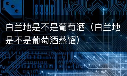 白兰地是不是葡萄酒（白兰地是不是葡萄酒蒸馏）