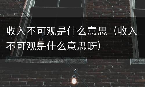 收入不可观是什么意思（收入不可观是什么意思呀）