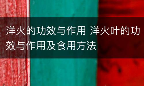 洋火的功效与作用 洋火叶的功效与作用及食用方法