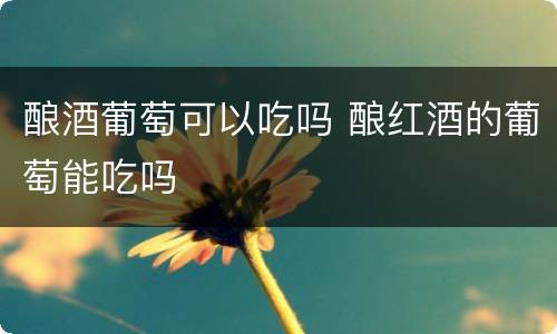 酿酒葡萄可以吃吗 酿红酒的葡萄能吃吗