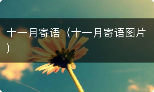 十一月寄语（十一月寄语图片）