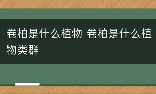 卷柏是什么植物 卷柏是什么植物类群