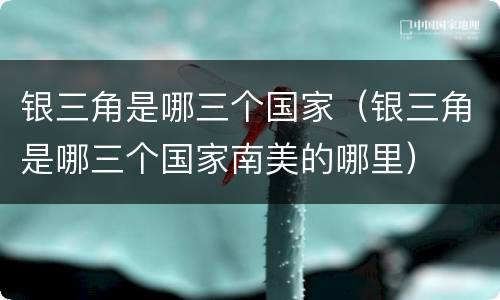 银三角是哪三个国家（银三角是哪三个国家南美的哪里）