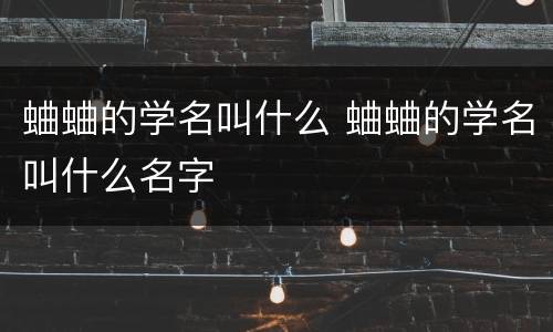 蛐蛐的学名叫什么 蛐蛐的学名叫什么名字
