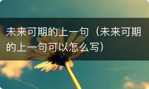 未来可期的上一句（未来可期的上一句可以怎么写）