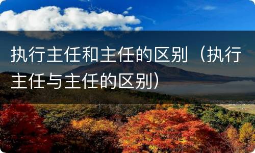 执行主任和主任的区别（执行主任与主任的区别）