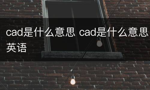 cad是什么意思 cad是什么意思英语