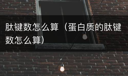 肽键数怎么算（蛋白质的肽键数怎么算）