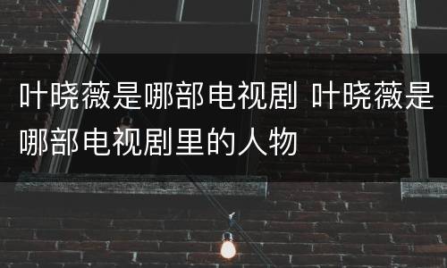 叶晓薇是哪部电视剧 叶晓薇是哪部电视剧里的人物