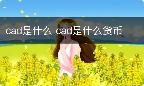 cad是什么 cad是什么货币