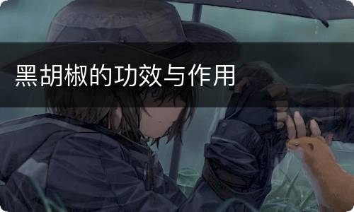 黑胡椒的功效与作用