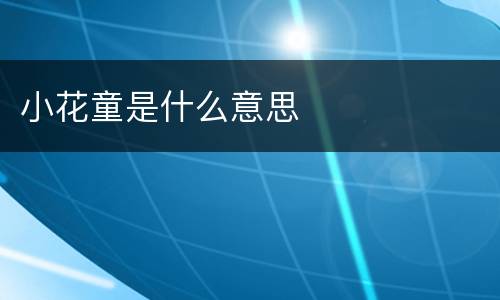 小花童是什么意思