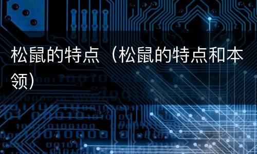 松鼠的特点（松鼠的特点和本领）