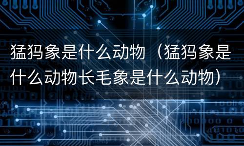 猛犸象是什么动物（猛犸象是什么动物长毛象是什么动物）