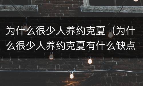 为什么很少人养约克夏（为什么很少人养约克夏有什么缺点）