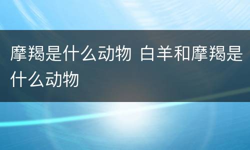 摩羯是什么动物 白羊和摩羯是什么动物