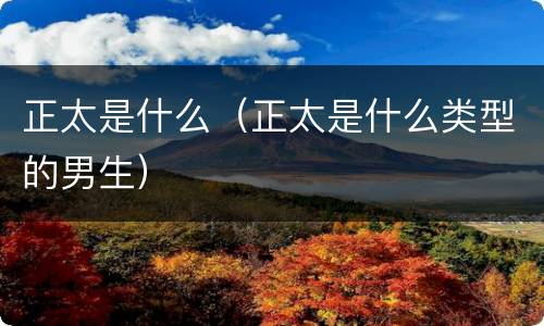 正太是什么（正太是什么类型的男生）