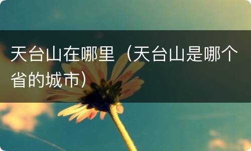 天台山在哪里（天台山是哪个省的城市）