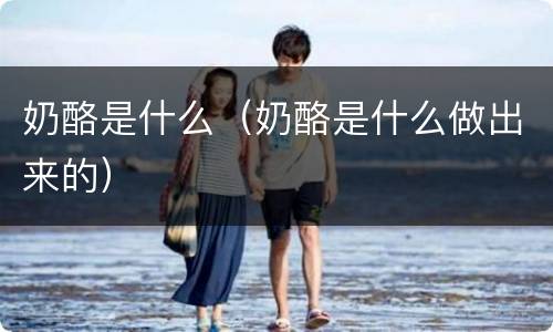 奶酪是什么（奶酪是什么做出来的）