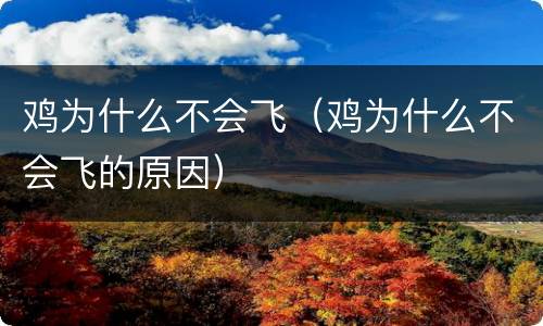 鸡为什么不会飞（鸡为什么不会飞的原因）