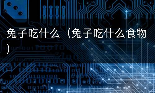 兔子吃什么（兔子吃什么食物）