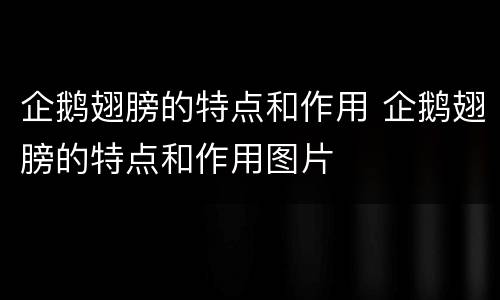 企鹅翅膀的特点和作用 企鹅翅膀的特点和作用图片