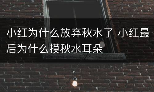 小红为什么放弃秋水了 小红最后为什么摸秋水耳朵