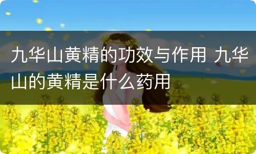 九华山黄精的功效与作用 九华山的黄精是什么药用