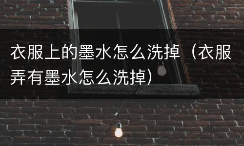 衣服上的墨水怎么洗掉（衣服弄有墨水怎么洗掉）