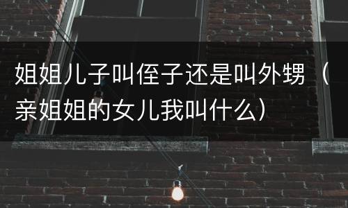 姐姐儿子叫侄子还是叫外甥（亲姐姐的女儿我叫什么）