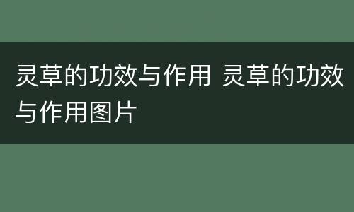 灵草的功效与作用 灵草的功效与作用图片