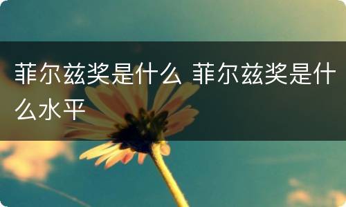 菲尔兹奖是什么 菲尔兹奖是什么水平