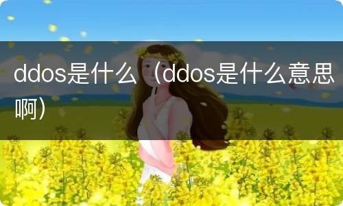 ddos是什么（ddos是什么意思啊）
