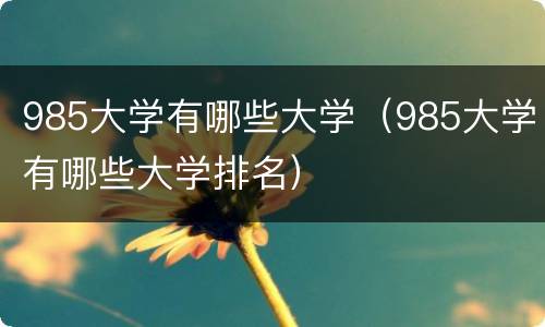 985大学有哪些大学（985大学有哪些大学排名）