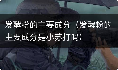 发酵粉的主要成分（发酵粉的主要成分是小苏打吗）