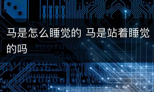马是怎么睡觉的 马是站着睡觉的吗