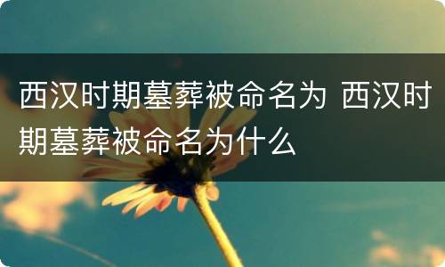 西汉时期墓葬被命名为 西汉时期墓葬被命名为什么