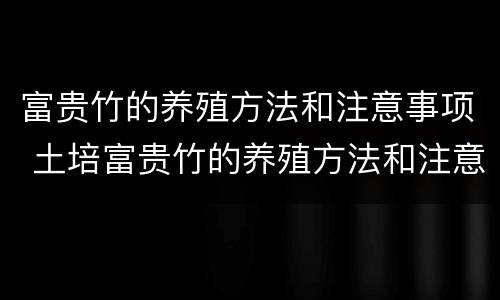 富贵竹的养殖方法和注意事项 土培富贵竹的养殖方法和注意事项