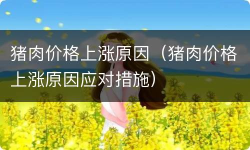猪肉价格上涨原因（猪肉价格上涨原因应对措施）